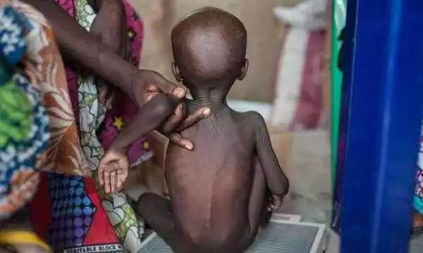 Boko Haram: 65,000 people living in famine-like conditions in Borno – UNICEF